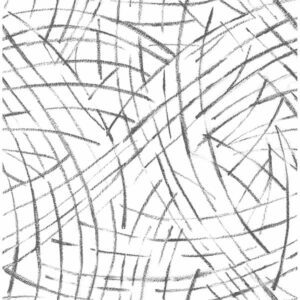 Black Imprint Peel and Stick Wallpaper