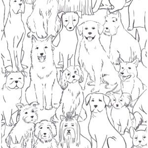 Black & White Paws On Peel & Stick Wallpaper
