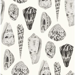 Graphite Coquina Scalamandré Self Adhesive Wallpaper
