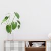 0062187 grey buffalo plaid plaid peel and stick wallpaper.jpeg