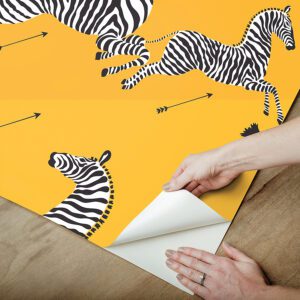 Sunbeam Zebra Safari Peel and Stick Wallpaper