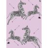 0087685 lilac zebra safari peel and stick wallpaper.jpeg