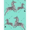 0087692 aqua zebra safari peel and stick wallpaper.jpeg