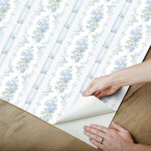 Sweet Blue Dreamy Days Peel and Stick Wallpaper