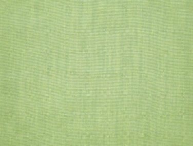 Mint 5822