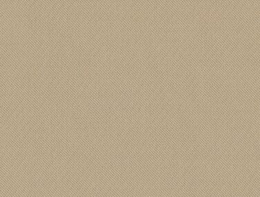 BLUSH 6531