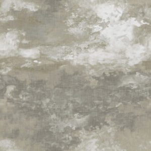 Buena Vista Shadow