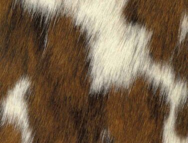 TRICOLOUR NATURAL qaxvlcxtcz8pt4gfggvcrz75y255r3ktn6hlg720xc