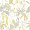 0037372 descano flower golden green botanical