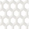 0037603 hex neutral geometric wallpaper