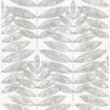 0038047 akira dove leaf wallpaper