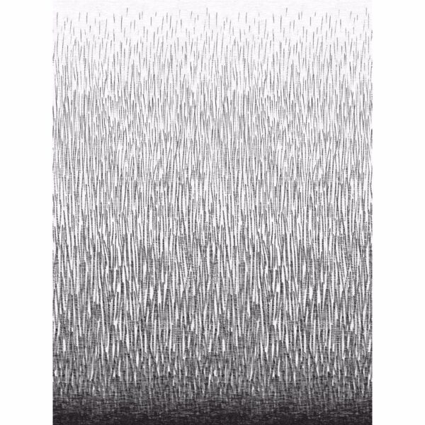 0038365 amaya black wall mural