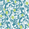 0045525 loretto teal citrus wallpaper