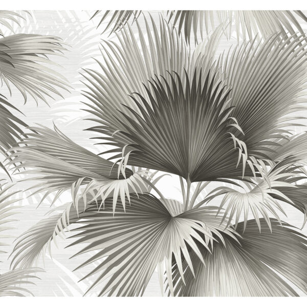 0050994 summer palm charcoal tropical wallpaper