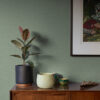 Salamander Light Green Woven Wallpaper - Image 3