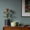 Salamander Light Blue Woven Wallpaper - Image 3