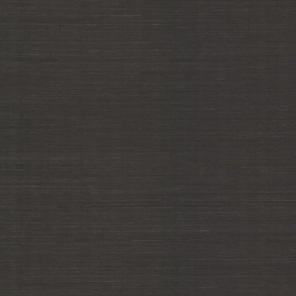 Colcord Black Sisal Wallpaper by Scott Living
