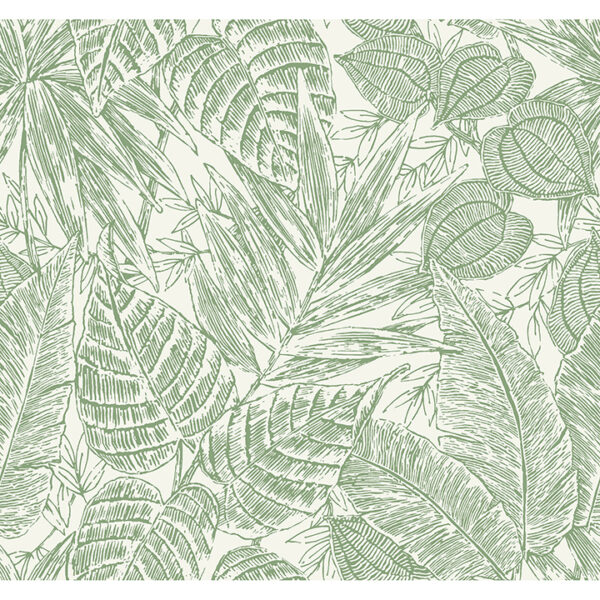 Brentwood Green Palm Leaves Wallpaper by Scott Living