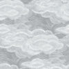 0090141 vision slate stipple clouds wallpaper