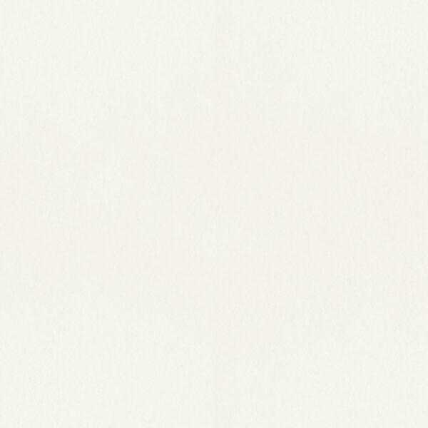 0091890 parget snovit white textured wallpaper