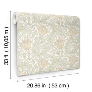 Anemone Light Green Floral Trail Wallpaper