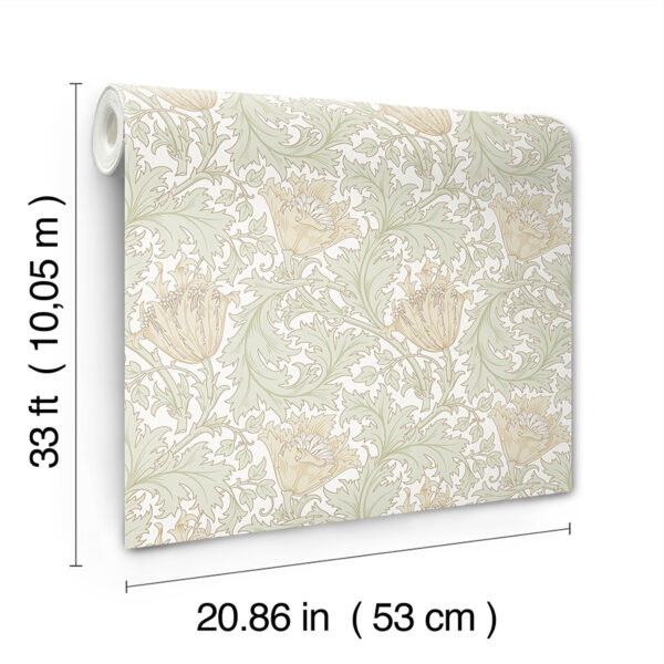 0091915 anemone light green floral trail wallpaper