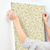 0092020 oak tree light yellow leaf wallpaper