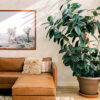 0093139 encircle dove geometric wallpaper