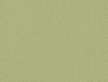 Step Screen