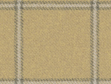 {"shape": [8390, 5717, 3]}
