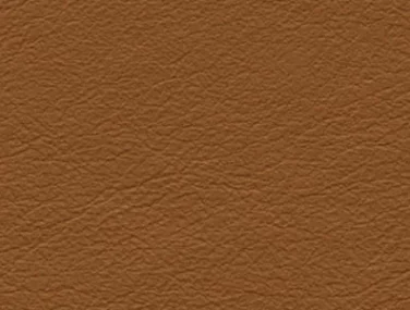 F6480026 54dd51a126
