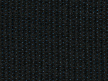 Future Loop 66269