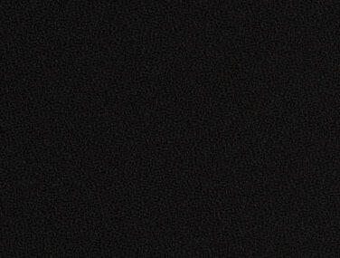 Gaja 60999