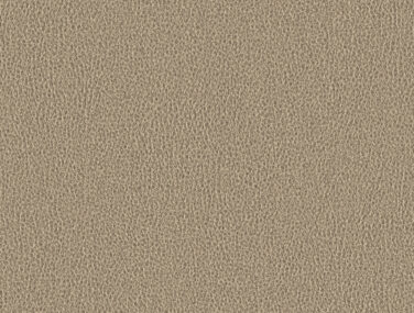 8060101 34187