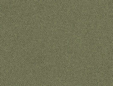 8060651 49828
