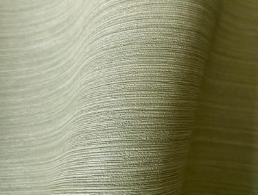 Eri Silk
