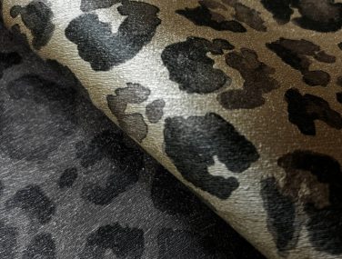 Panthera
