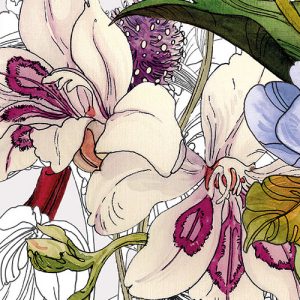 Flora