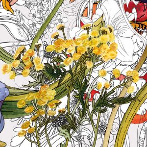 Flora