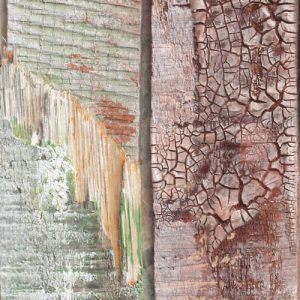 Vintage Wood