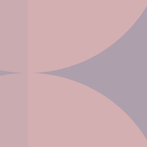 Bauhaus Fusion