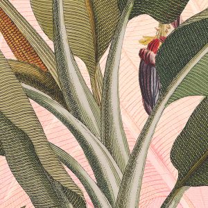 Botany