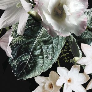 Enchanted Flowers