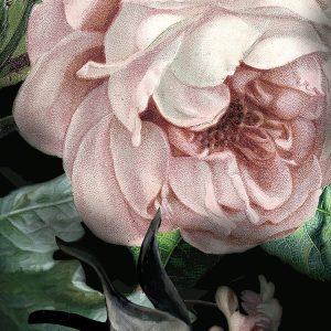 Flower Couture