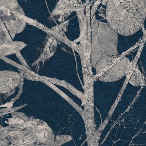 Branch