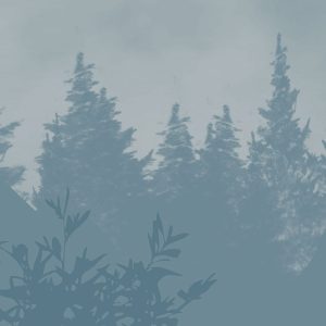 Blue Valley