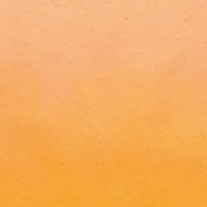 Fuel