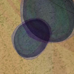 Microcosmos