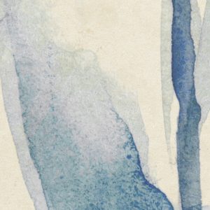 Aquarel-Field