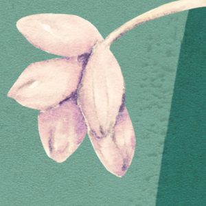 The Flower Duet